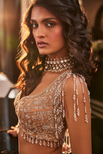 Load image into Gallery viewer, GOLD EMBROIDERED ORGANZA SET