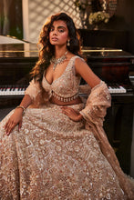 Load image into Gallery viewer, GOLD EMBROIDERED ORGANZA SET