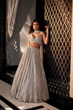 Load image into Gallery viewer, GREY EMBROIDERED ORGANZA SET