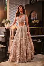 Load image into Gallery viewer, ICEBLUE EMBROIDERED ORGANZA SET (Copy)