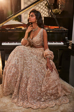 Load image into Gallery viewer, GOLD EMBROIDERED ORGANZA SET