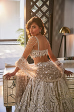 Load image into Gallery viewer, GREY EMBROIDERED ORGANZA SET