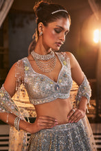 Load image into Gallery viewer, GREY EMBROIDERED ORGANZA SET