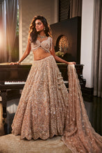 Load image into Gallery viewer, GOLD EMBROIDERED ORGANZA SET