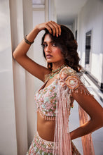 Load image into Gallery viewer, PINK EMBROIDERED NET LEHENGA