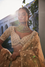 Load image into Gallery viewer, IVORY ORGANZA EMBROIDERED SET