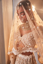 Load image into Gallery viewer, IVORY ORGANZA EMBROIDERED SET