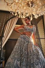 Load image into Gallery viewer, ICEBLUE EMBROIDERED ORGANZA SET