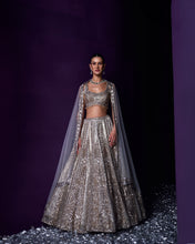 Load image into Gallery viewer, Grey Organza Lehenga Set
