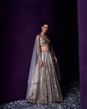 Load image into Gallery viewer, Grey Organza Lehenga Set