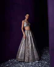 Load image into Gallery viewer, Grey Organza Lehenga Set