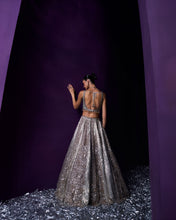 Load image into Gallery viewer, Grey Organza Lehenga Set