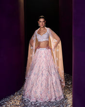 Load image into Gallery viewer, Pink Net Lehenga Set