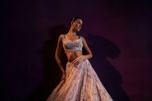 Load image into Gallery viewer, Pink Net Lehenga Set