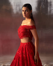 Load image into Gallery viewer, Red Net Lehenga Set