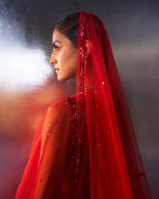 Load image into Gallery viewer, Red Net Lehenga Set