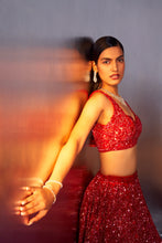 Load image into Gallery viewer, Red Net Lehenga Set