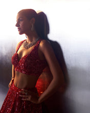 Load image into Gallery viewer, Red Net Lehenga Set