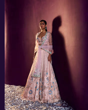 Load image into Gallery viewer, Peach Net Lehenga Set