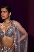 Load image into Gallery viewer, Champagne Organza Lehenga Set
