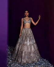 Load image into Gallery viewer, Champagne Organza Lehenga Set