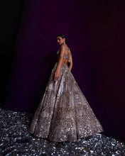 Load image into Gallery viewer, Champagne Organza Lehenga Set