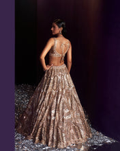 Load image into Gallery viewer, Gold Tissue Lehenga Set