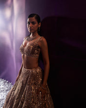 Load image into Gallery viewer, Gold Tissue Lehenga Set