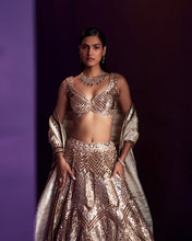 Load image into Gallery viewer, Gold Tissue Lehenga Set