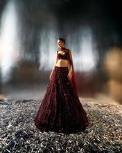 Load image into Gallery viewer, Deep Wine Net Lehenga Set