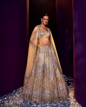 Load image into Gallery viewer, Gold Net Lehenga Set