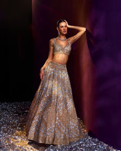 Load image into Gallery viewer, Gold Net Lehenga Set