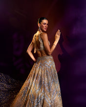 Load image into Gallery viewer, Gold Net Lehenga Set