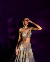 Load image into Gallery viewer, Gold Net Lehenga Set