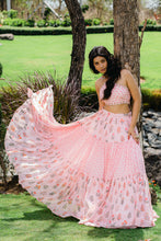Load image into Gallery viewer, Blush Pink Floral Printed Embroidered Crop-Top & Flared Skirt Set