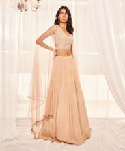 Load image into Gallery viewer, BLUSH PINK LEHENGA SET