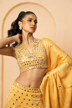 Load image into Gallery viewer, Intricate handwork of mirrors and pearls all over lehenga, blouse and dupatta