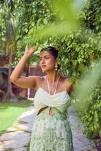 Load image into Gallery viewer, Olive Oasis