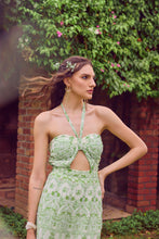 Load image into Gallery viewer, Basil Breeze