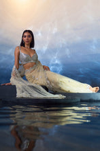 Load image into Gallery viewer, GOLD NET SAREE