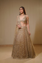 Load image into Gallery viewer, Moondance