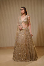 Load image into Gallery viewer, Moondance