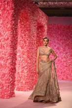 Load image into Gallery viewer, Ella Shimmer Tulle Saree