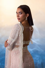 Load image into Gallery viewer, LIGHT PEACH NET SAREE