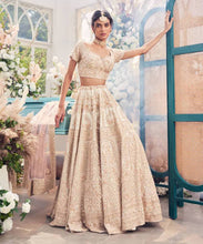 Load image into Gallery viewer, gold organza hand embroidered lehenga