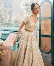 Load image into Gallery viewer, gold organza hand embroidered lehenga