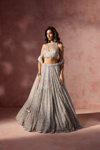 Load image into Gallery viewer, SILVER GREY NET LEHENGA SET