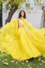 Load image into Gallery viewer, Elke Organze Lehenga Set