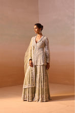 Load image into Gallery viewer, CARDAMOM COLOUR HEAVY SHARARA SET