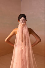 Load image into Gallery viewer, SOFT PINK ORGANZA LAYERED SKIRT SET